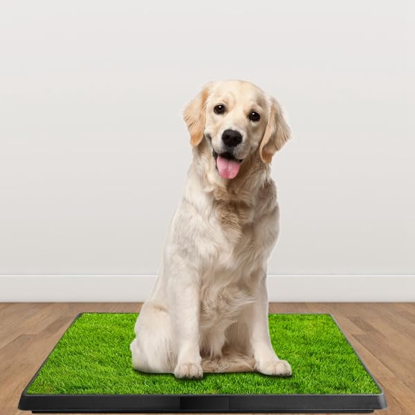 Indoor Outdoor Dog Potty with Artificial Turf Grass Mat 25x20 in L5563