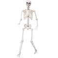 5.4Ft Life Size Skeleton with Movable Joints J83612