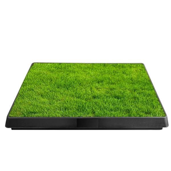 Indoor Outdoor Dog Potty with Artificial Turf Grass Mat 25x20 in L5563