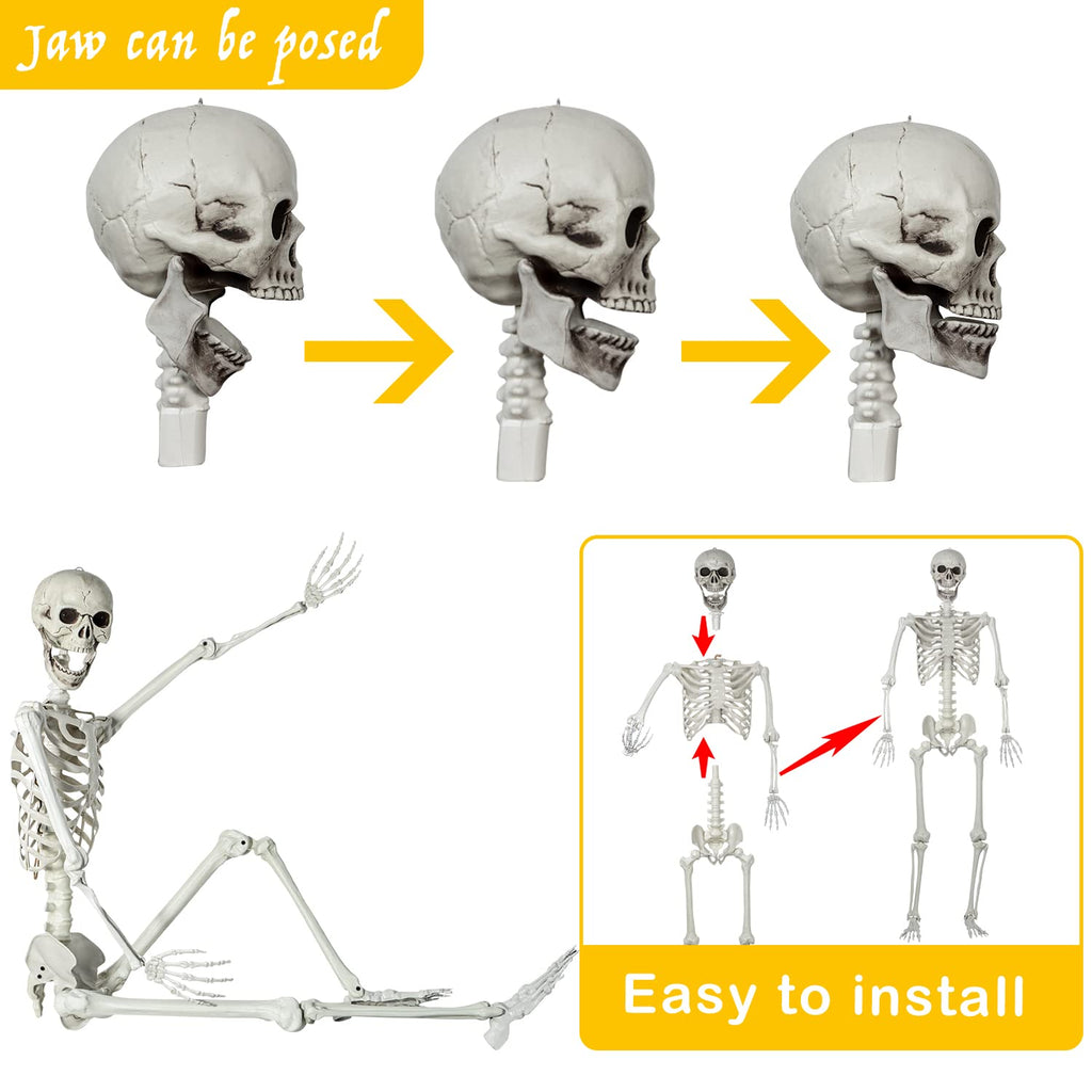 Life Size Skeleton with Posable Joints N426537