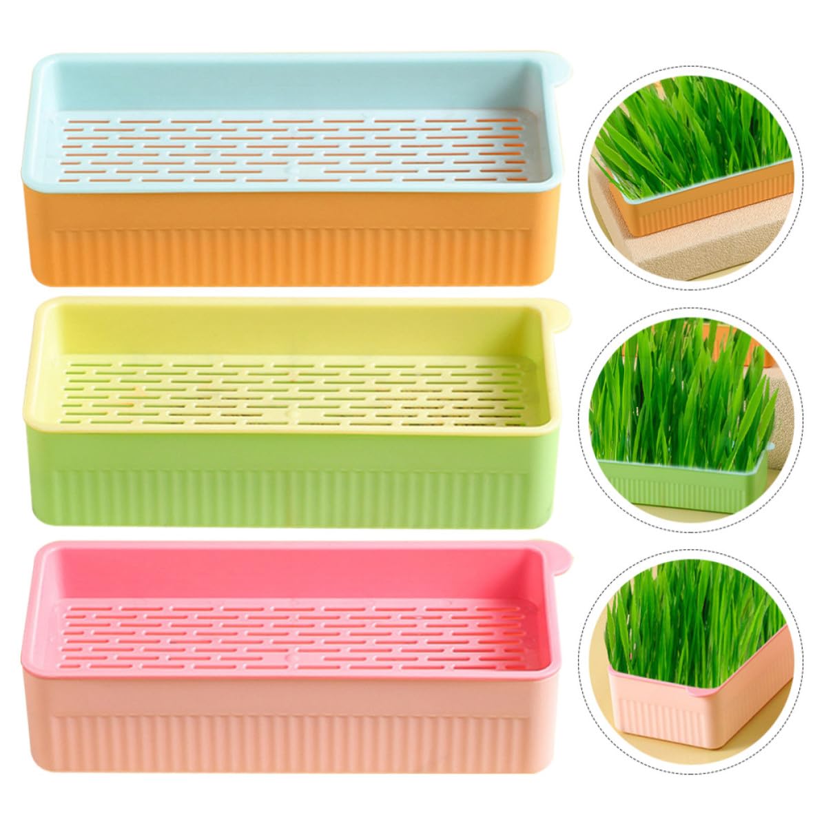 Cat Grass Planter Box Plastic 3 Pack Y1310