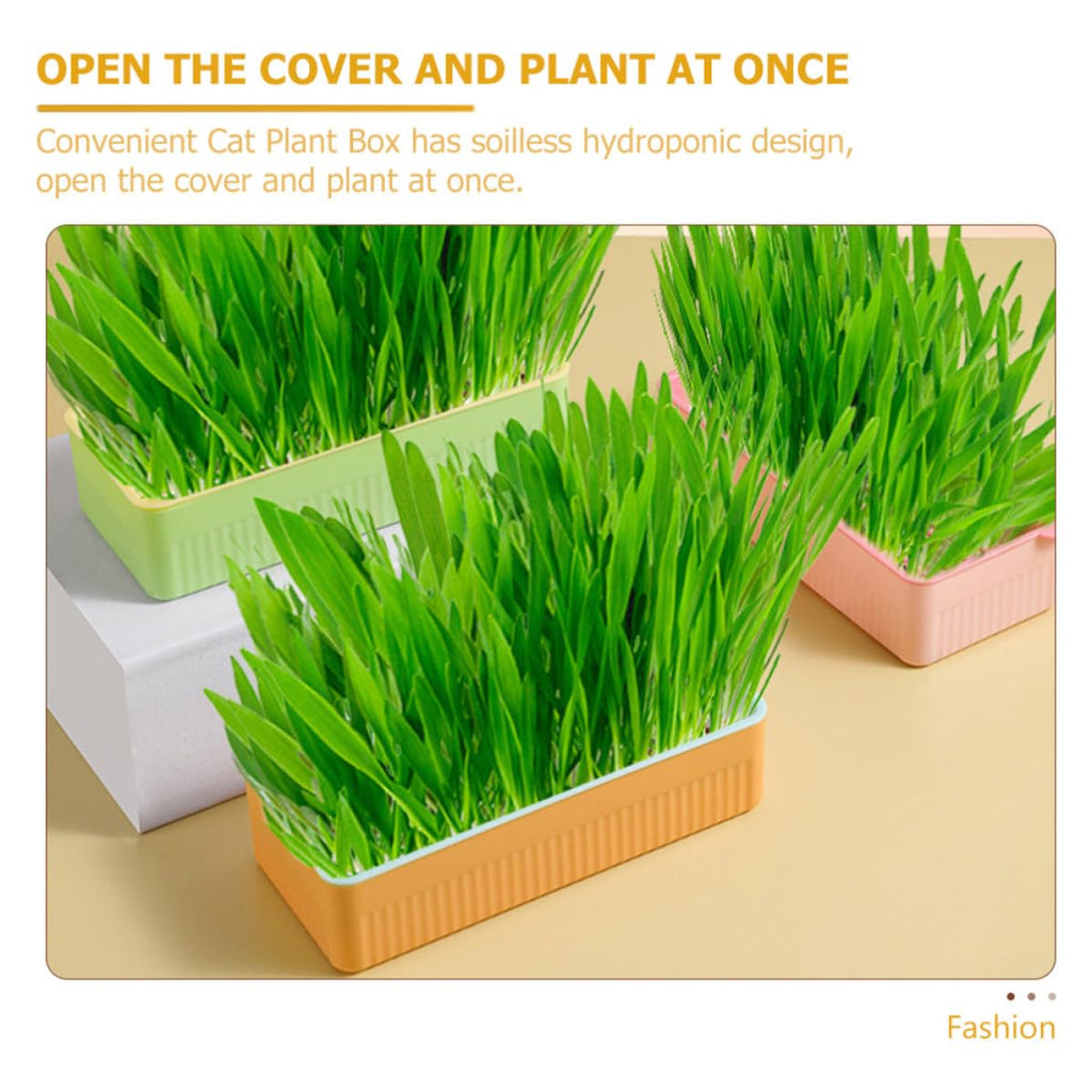 Cat Grass Planter Box Plastic 3 Pack Y1310