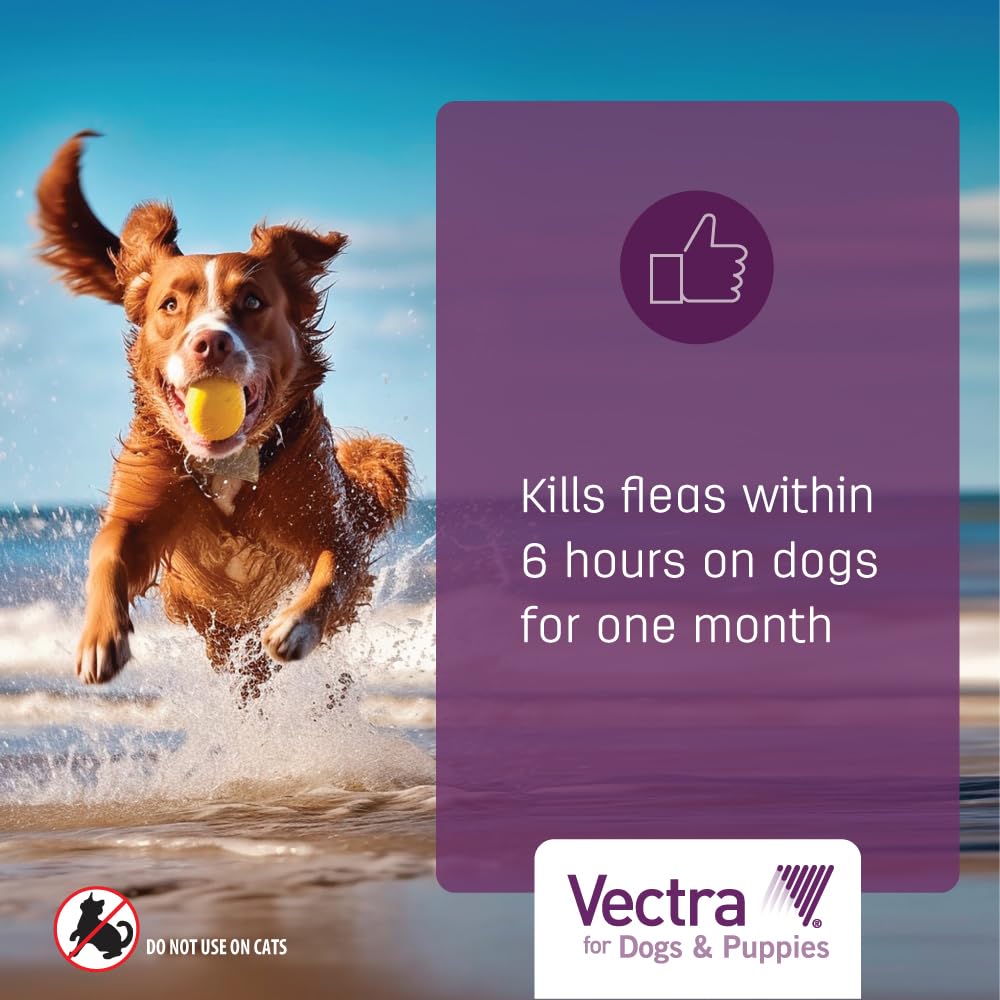 Flea Treatment & Prevention for Extra Small Dogs 3-Month Supply Z729