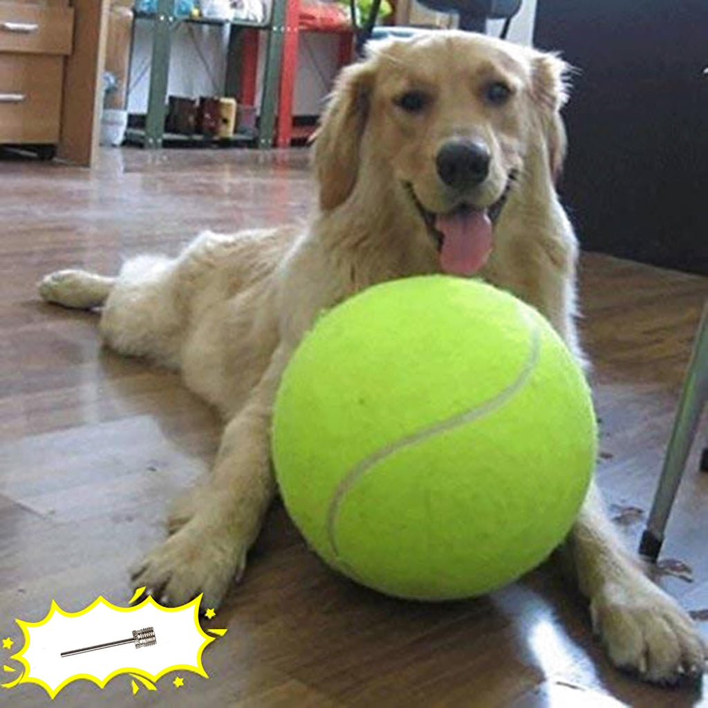 Dog Tennis Ball O750659