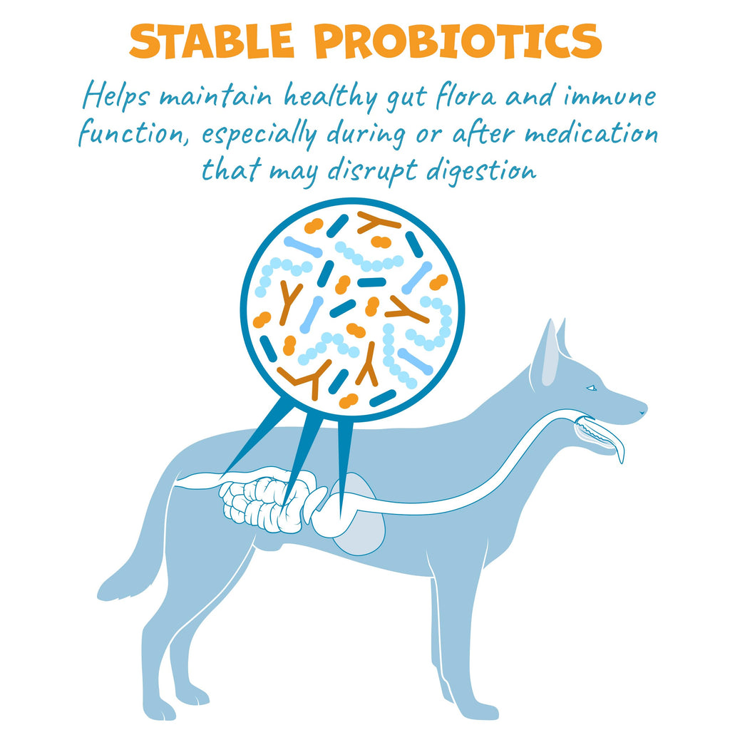 Probiotic Bacon Pill Wrap for Dogs 4.2oz R3390