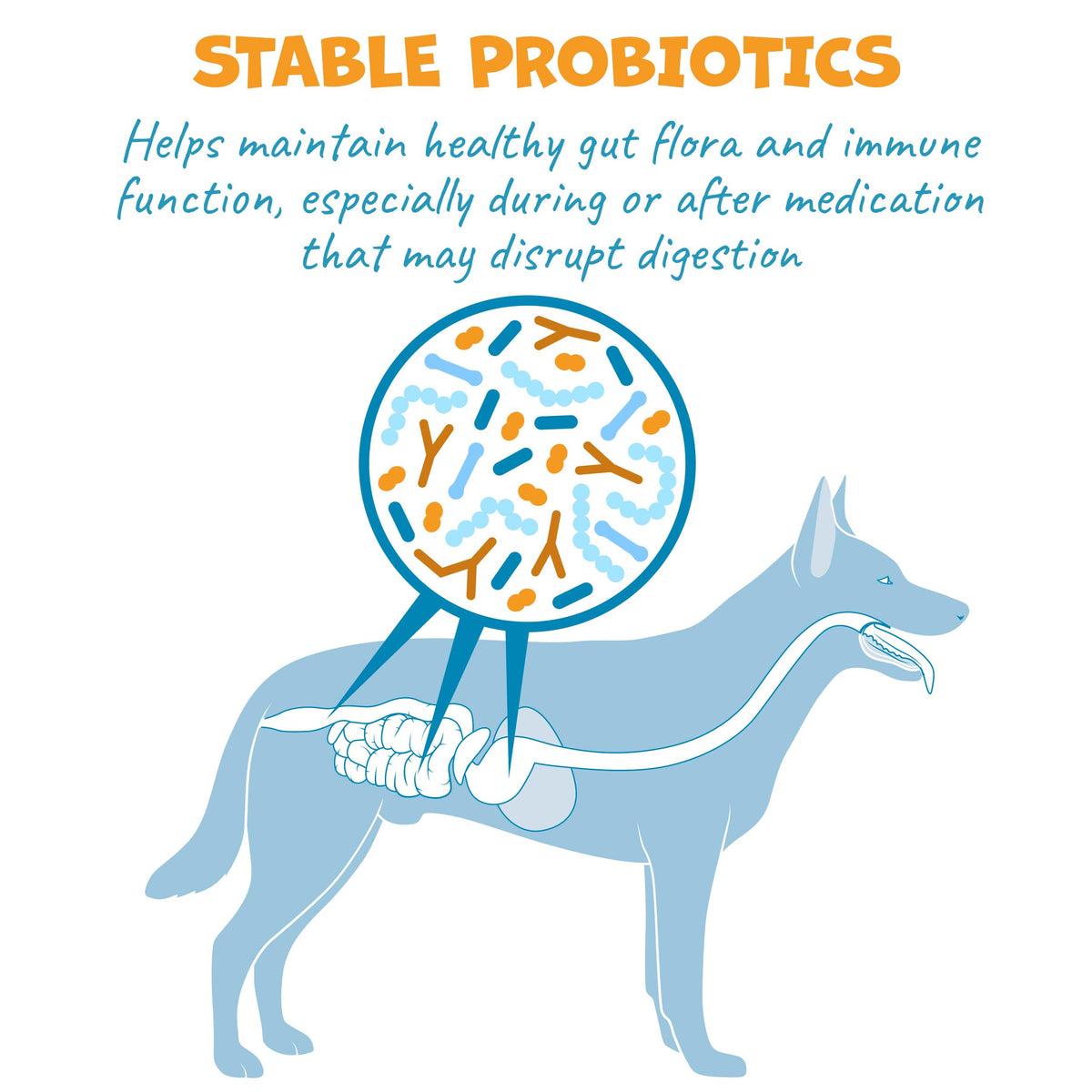 Probiotic Bacon Pill Wrap for Dogs 4.2oz R3390