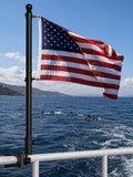 2.5FT Stainless Steel Boat Flag Pole Kit M877987