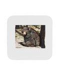 Black Bear 4 Piece Set of Coasters I45834