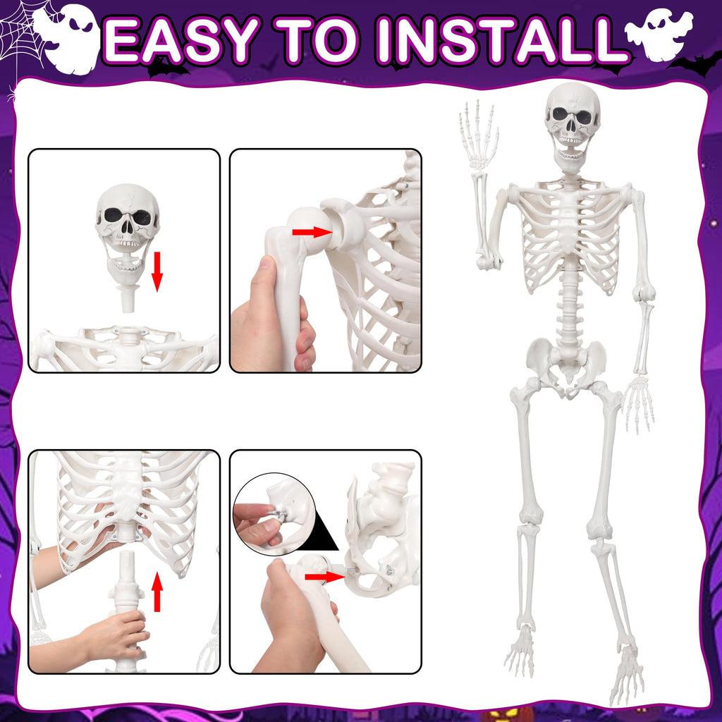 5.4Ft Life Size Skeleton with Movable Joints J83612