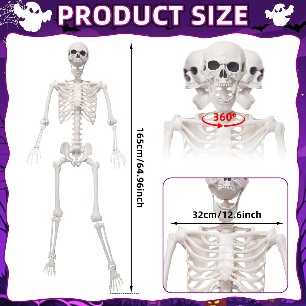 5.4Ft Life Size Skeleton with Movable Joints J83612