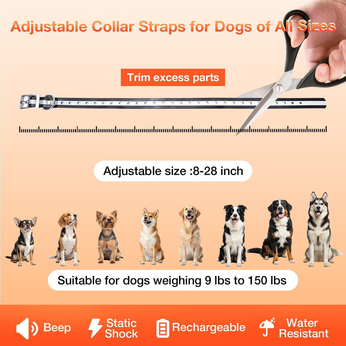 Electric Fence for Dogs O846