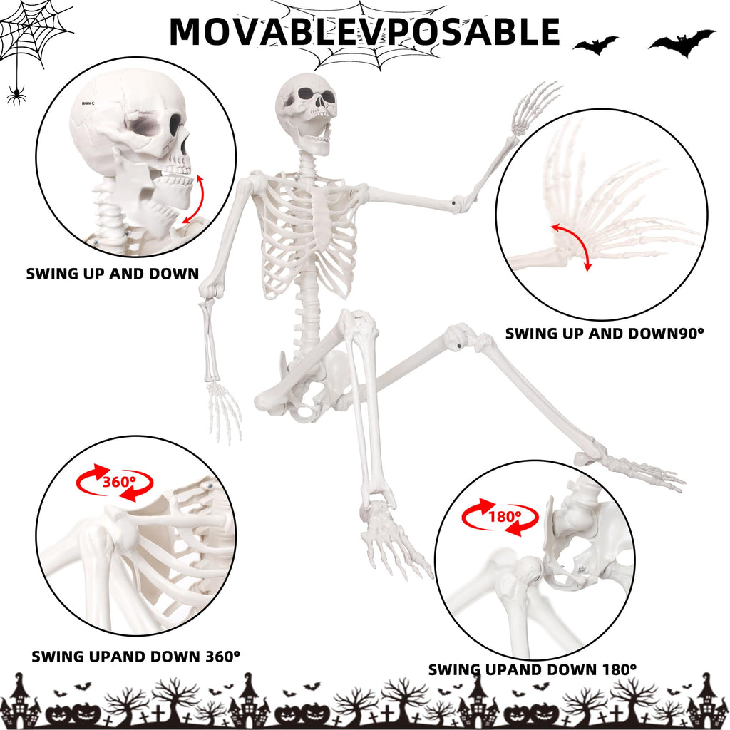 5.4Ft Life Size Skeleton with Movable Joints J83612