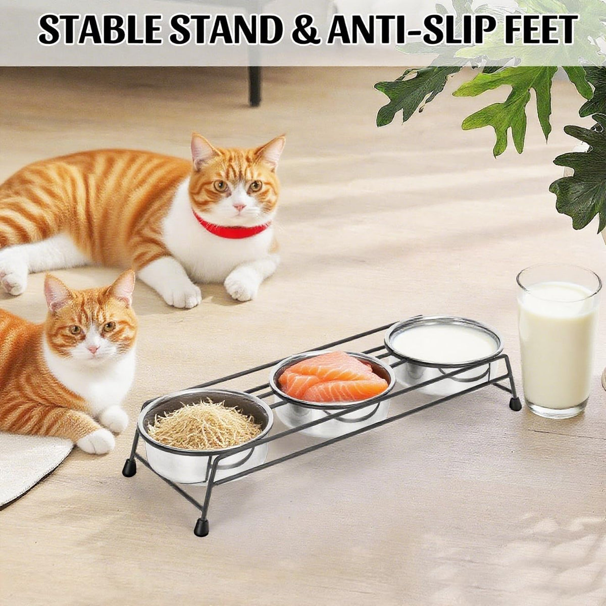 Raised Cat Bowls 3 Stainless Steel W863