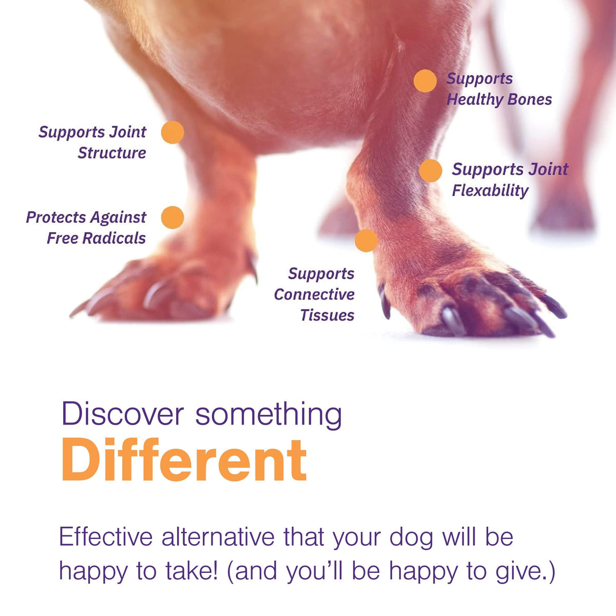 Joint Support Supplement for Dogs - 60 Soft Chews for Small Dogs G572095