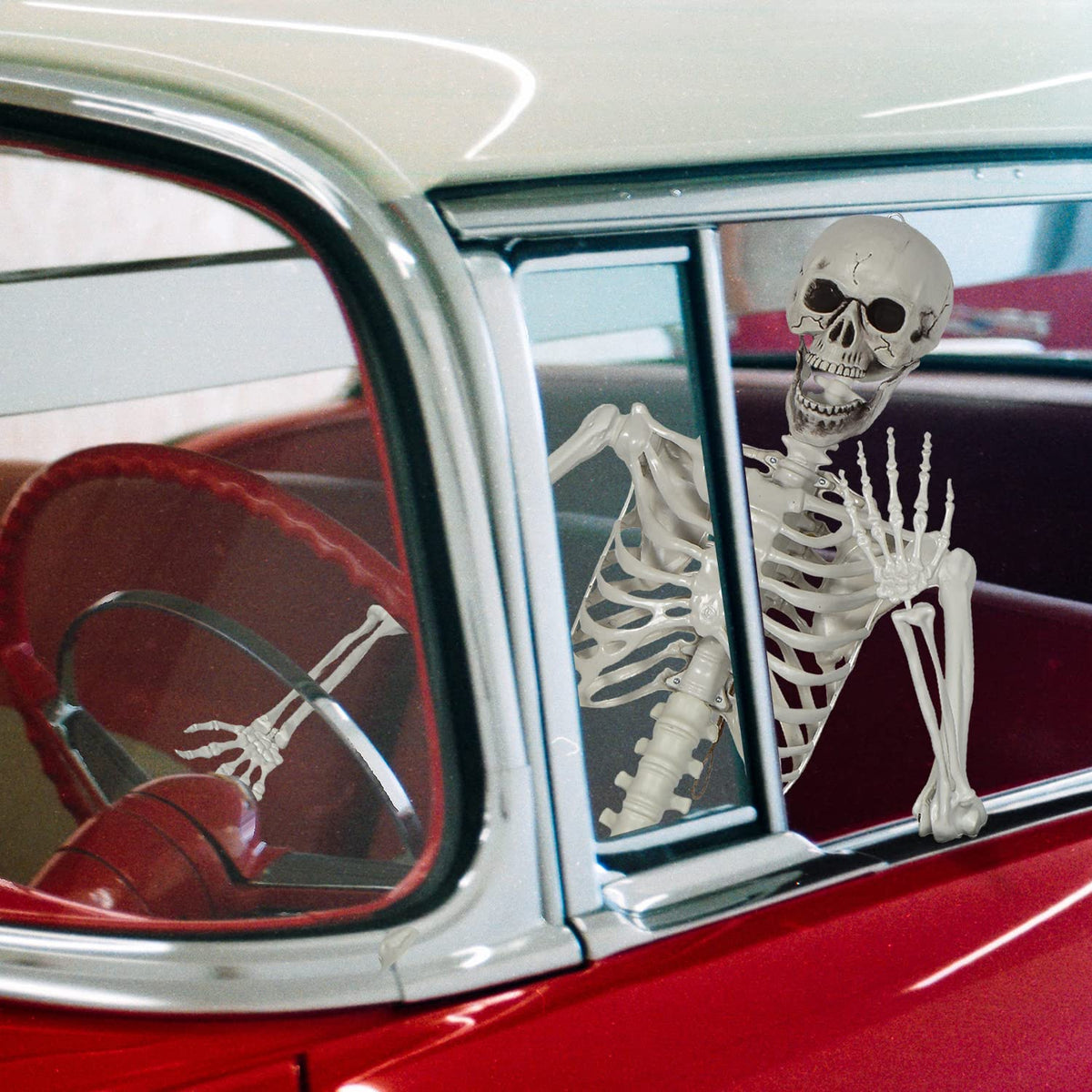 Life Size Skeleton with Posable Joints N426537