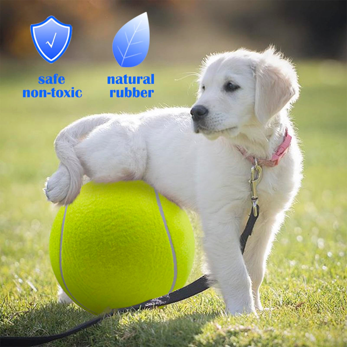 Dog Tennis Ball O750659