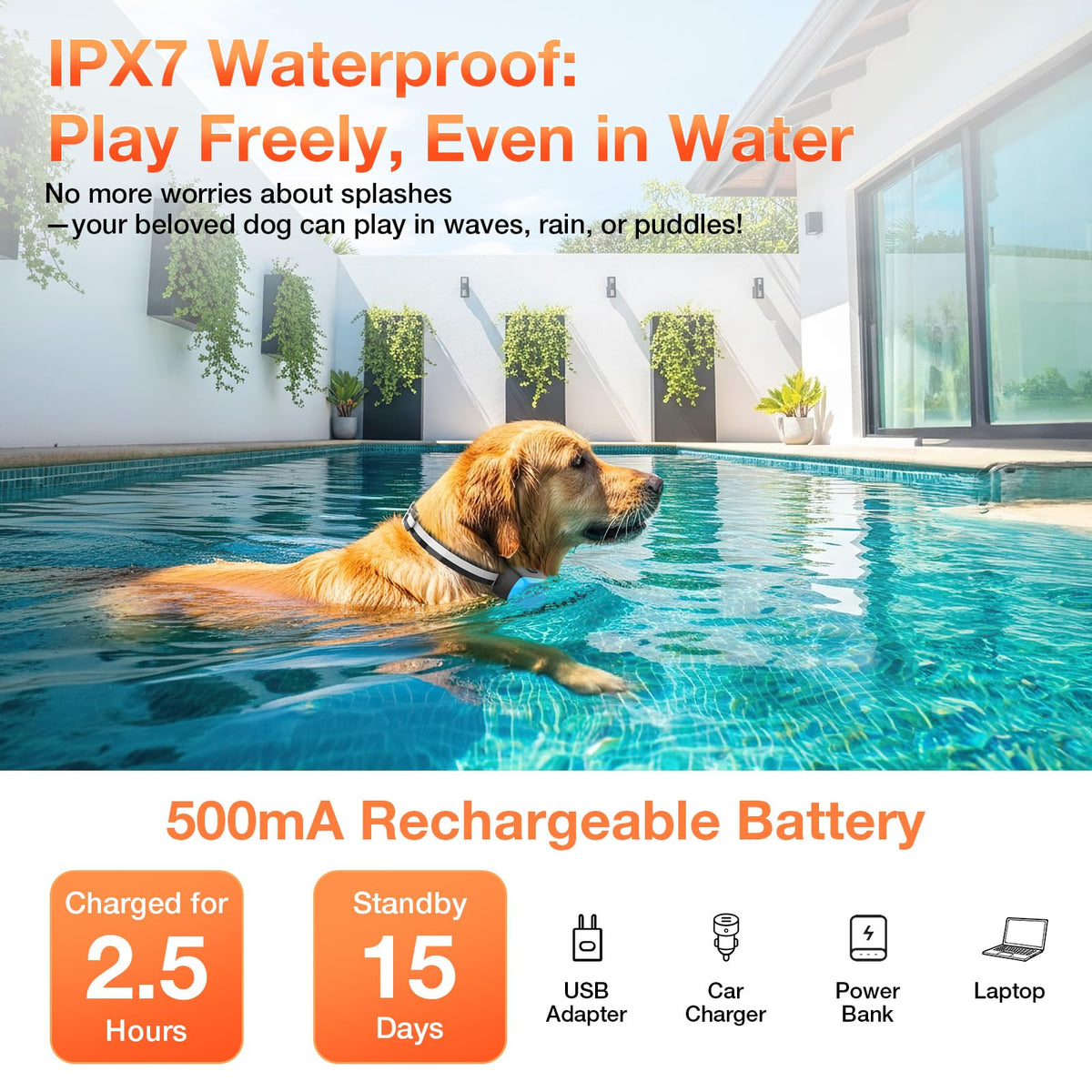 Electric Fence for Dogs O846