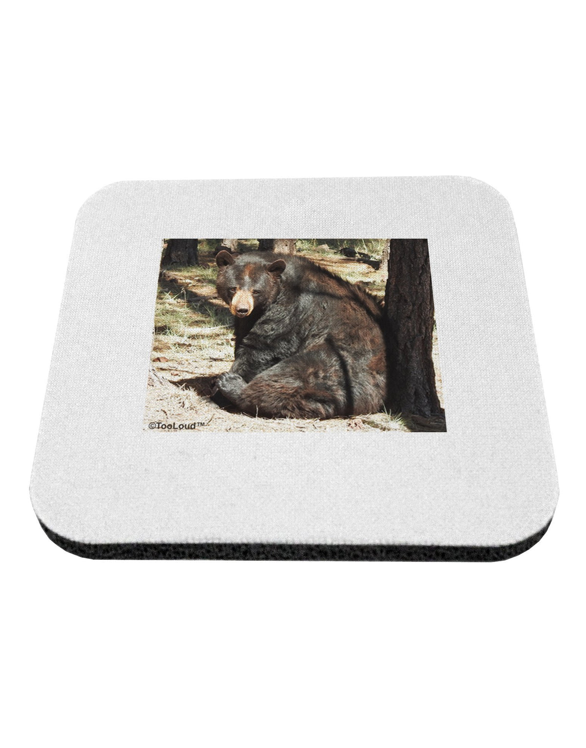 Black Bear 4 Piece Set of Coasters I45834