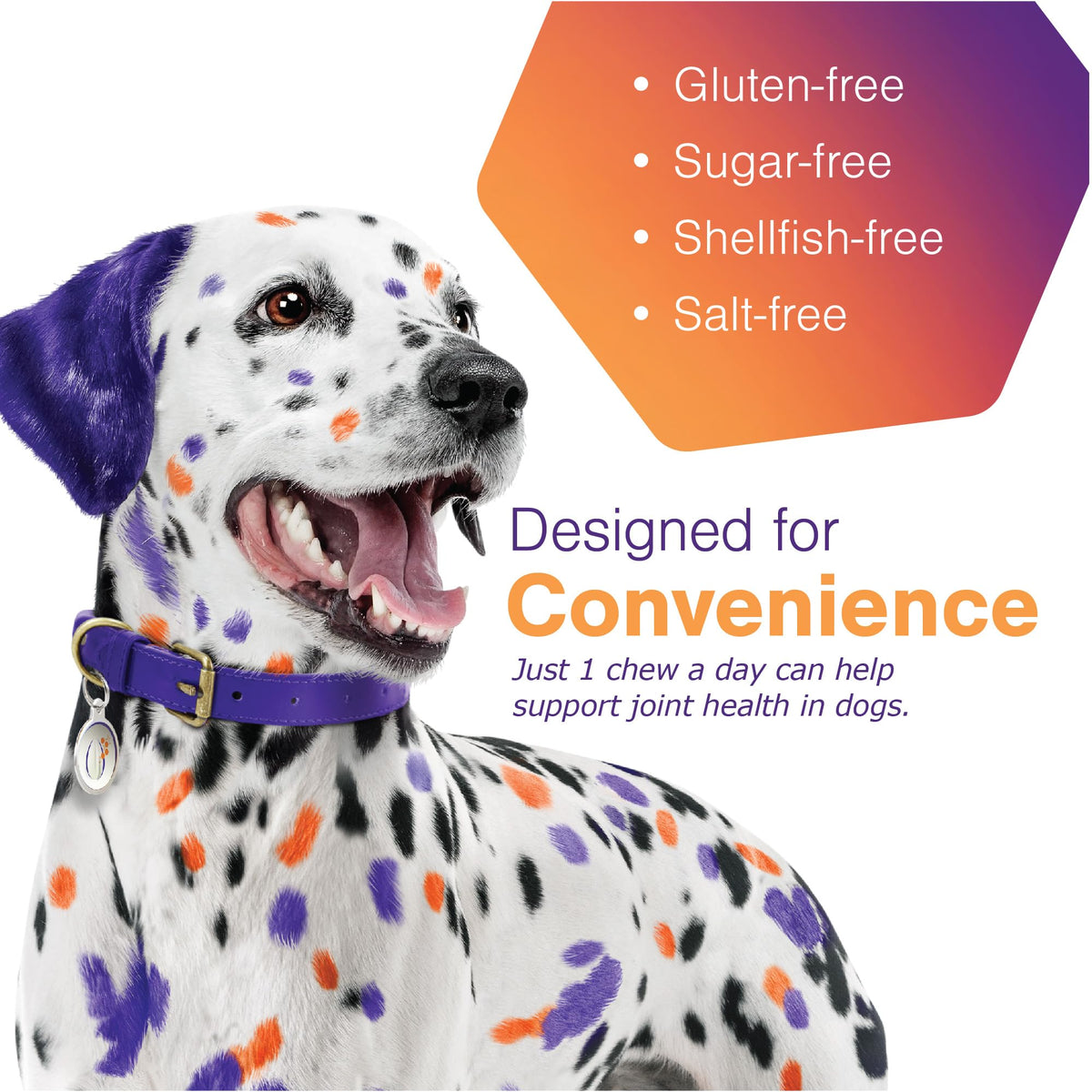 Joint Support Supplement for Dogs - 60 Soft Chews for Small Dogs G572095