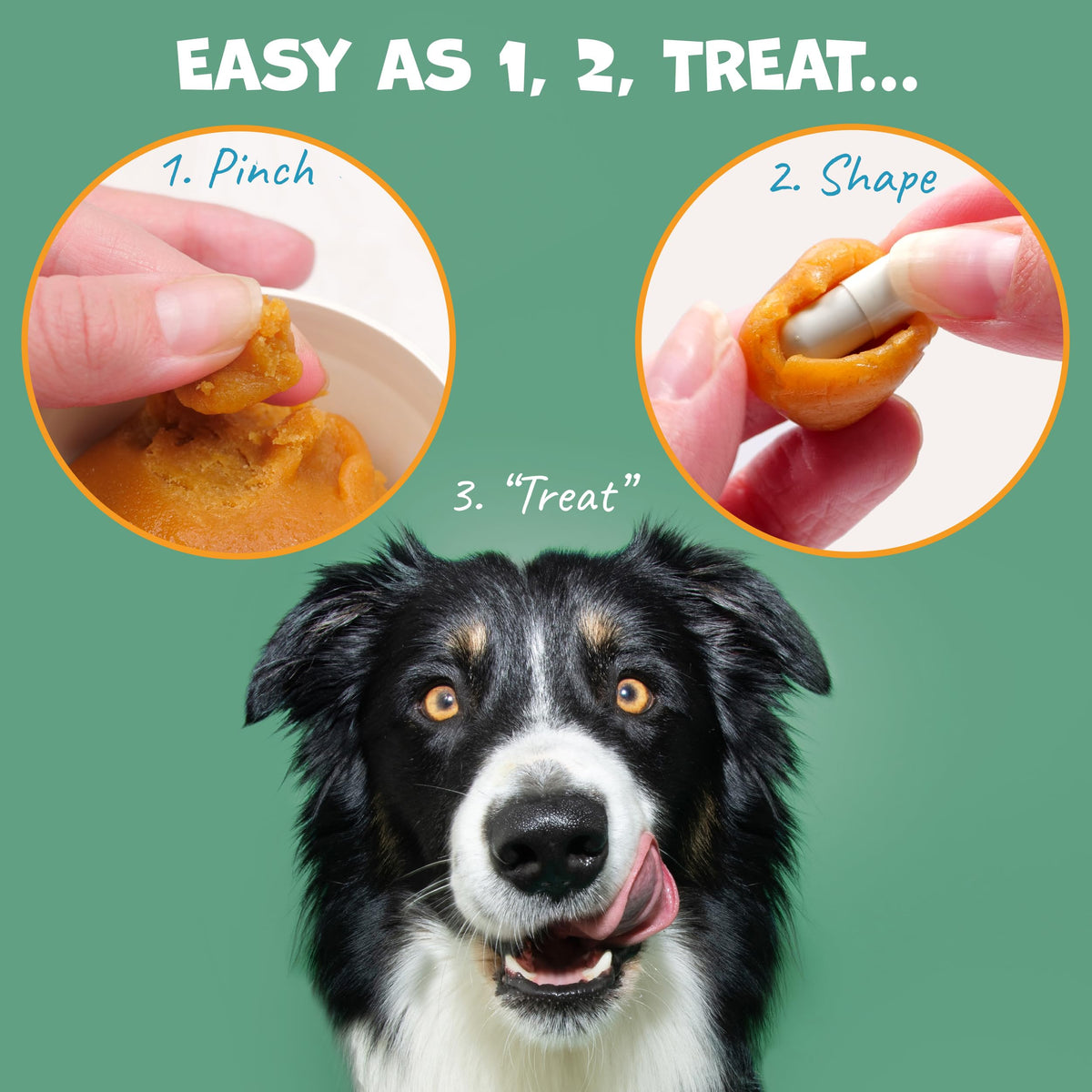 Probiotic Bacon Pill Wrap for Dogs 4.2oz R3390