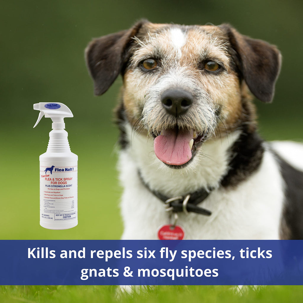 Water-Based Flea & Tick Spray for Dogs, 40 fl oz G683