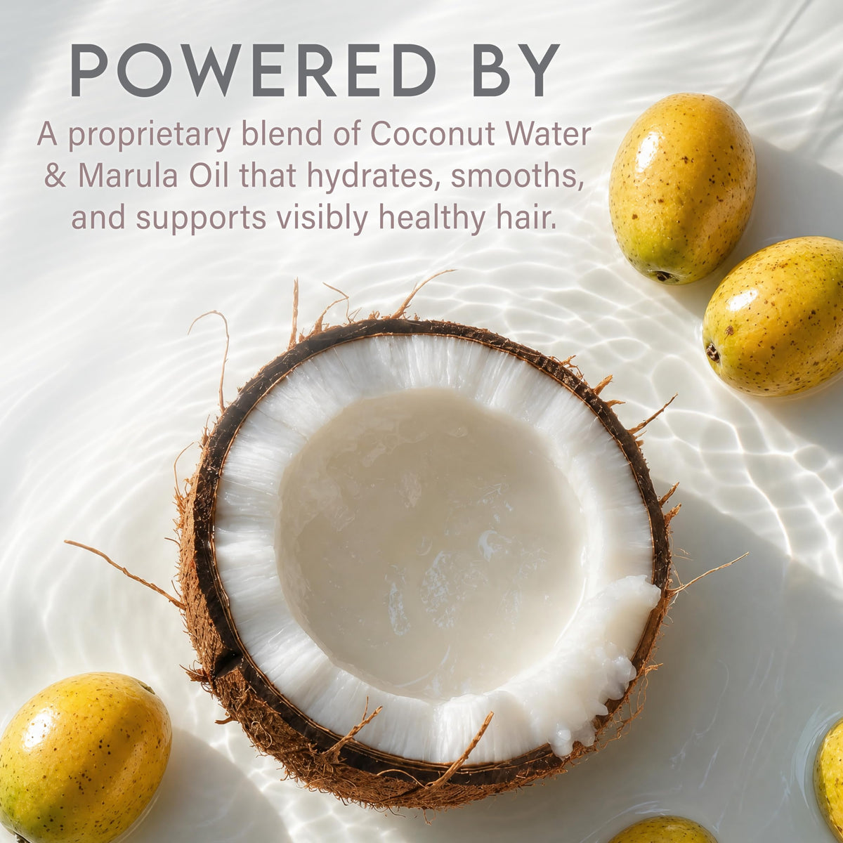 Coconut Water Based Shampoo & Conditioner Set Z254356