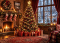 Fabric Christmas Window Backdrop P44879