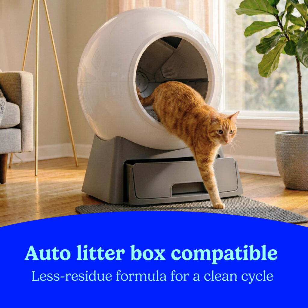 Clumping Multi Cat Litter with Carbon, 22 lb. Q8389