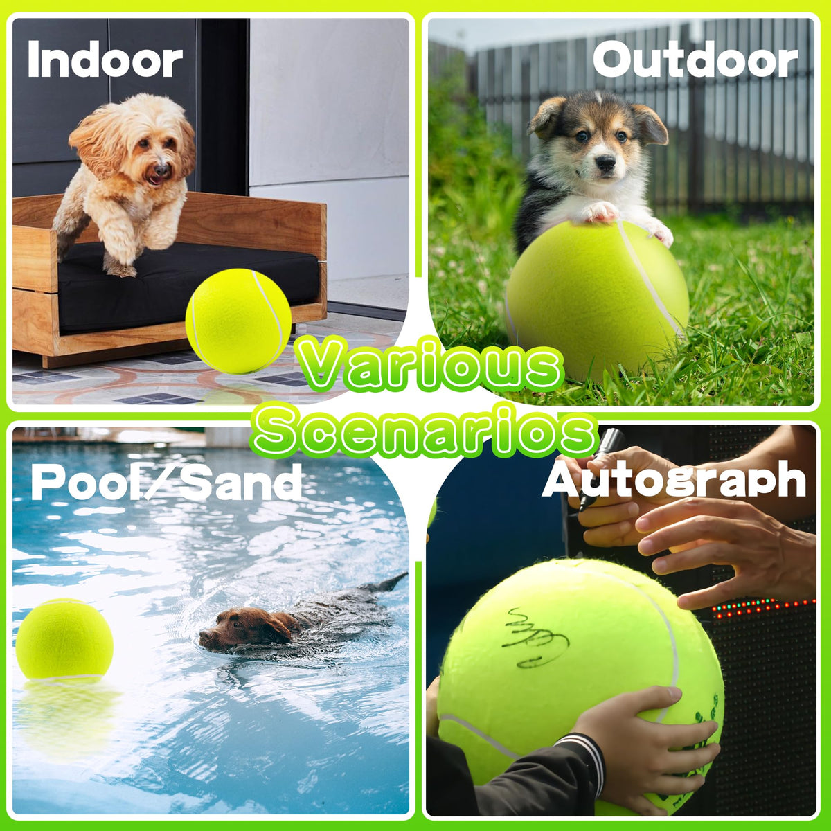 Dog Tennis Ball O750659