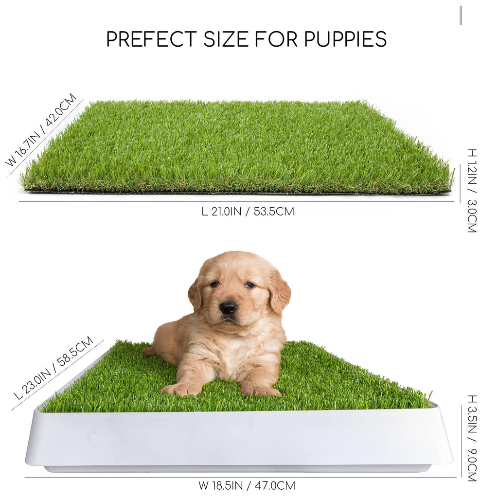 Dog Grass Pad with Tray M68951