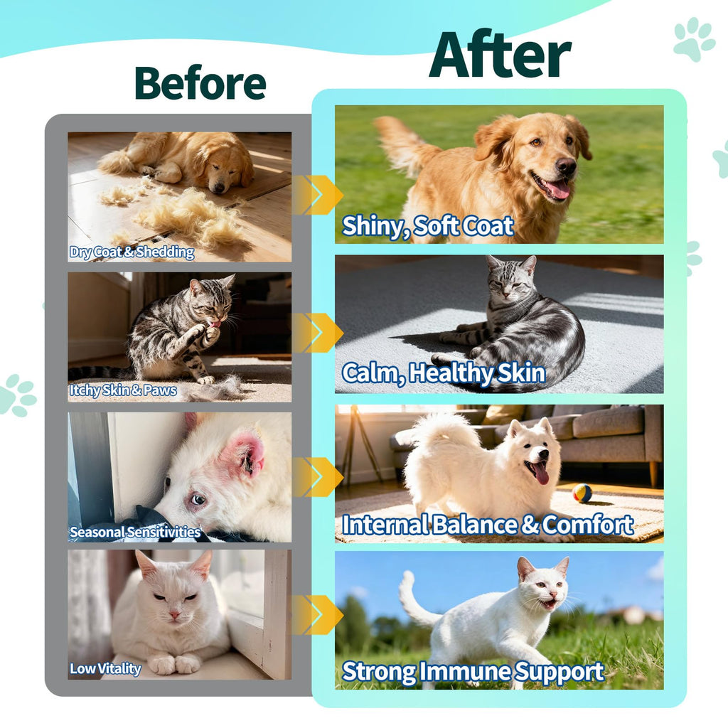 Flea and Tick Prevention for Dogs & Cats Q2078