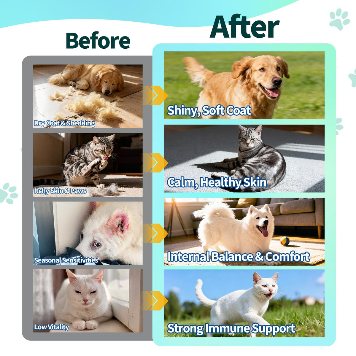 Flea and Tick Prevention for Dogs & Cats Q2078