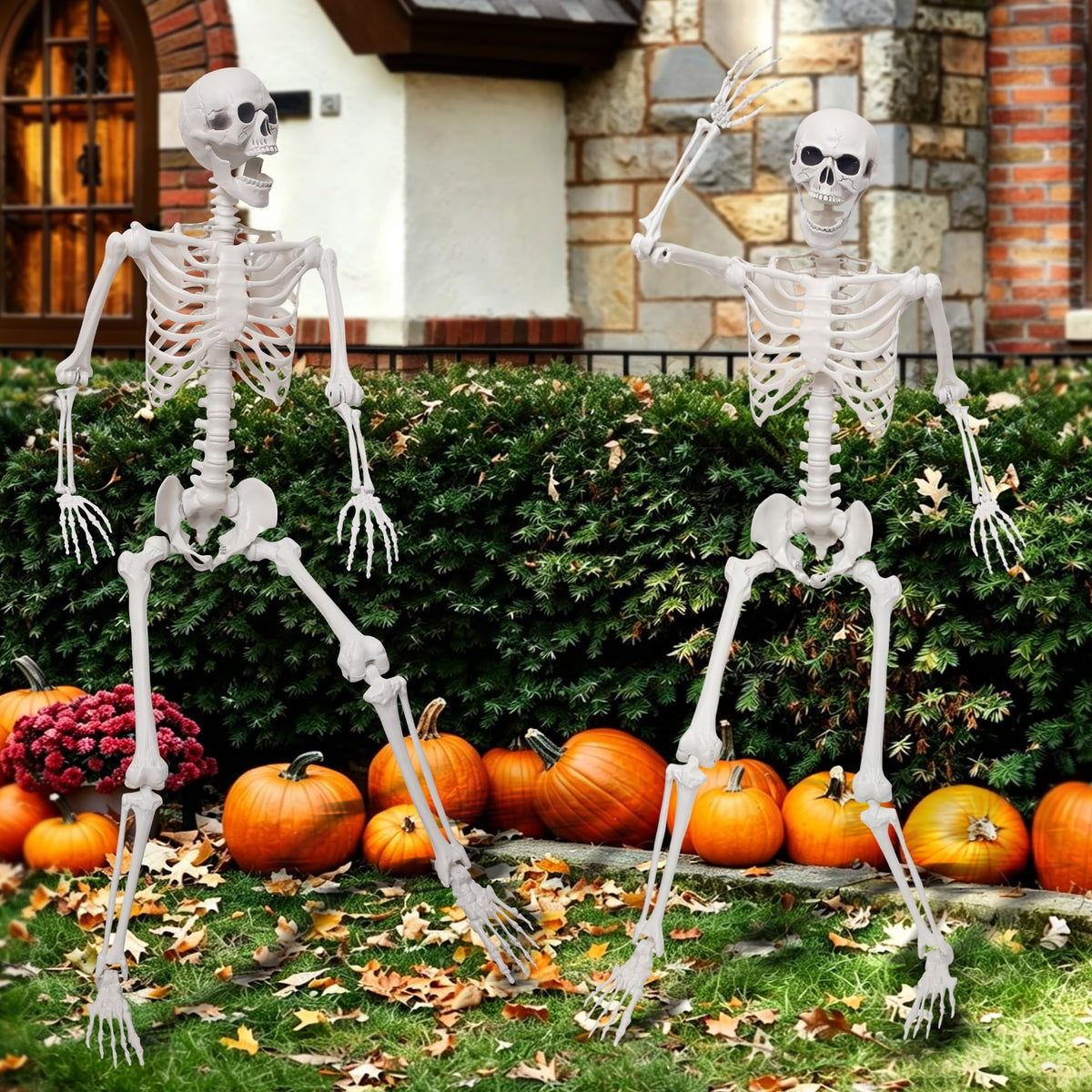 5.4Ft Life Size Skeleton with Movable Joints J83612