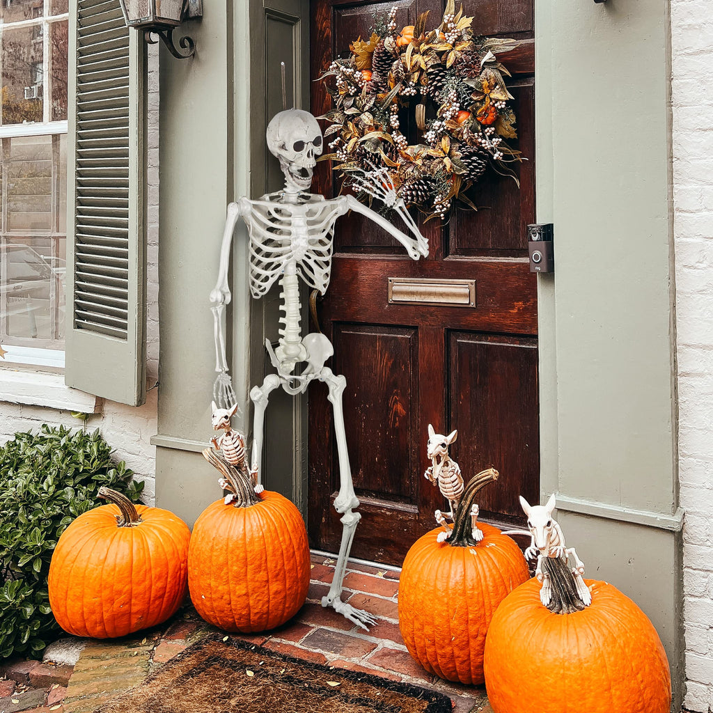 Life Size Skeleton with Posable Joints N426537
